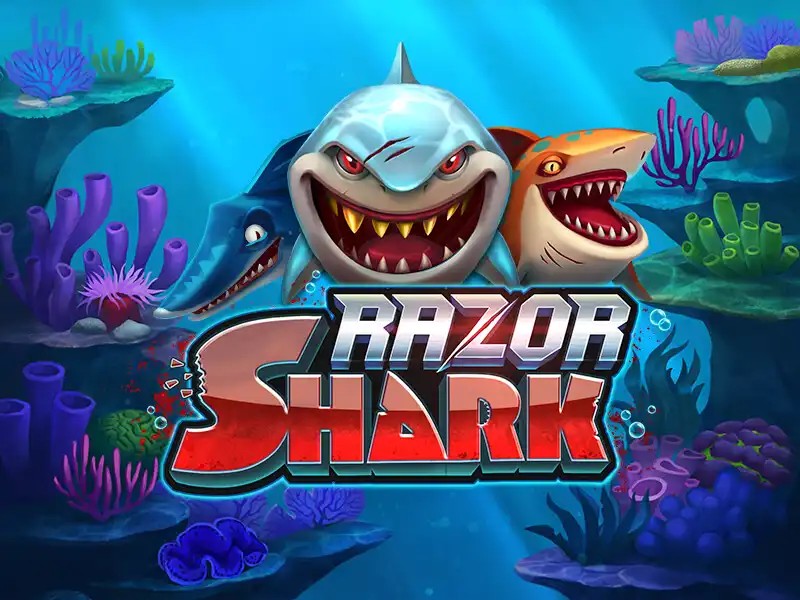Razor Shark slot logo by Push Gaming at Mellstroy Casino
